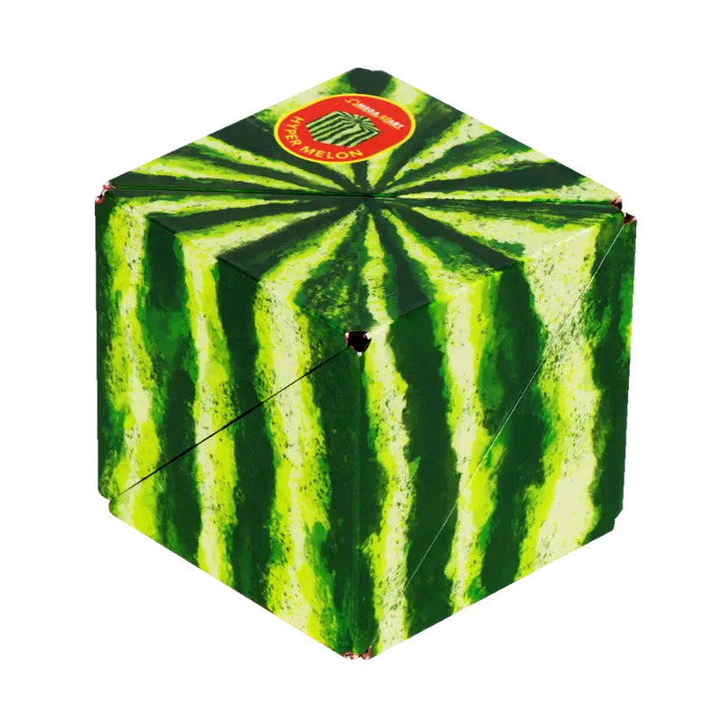 Meow Wolf Series W2